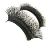 Callas Lashes For Extensions, 0.05mm D Curl Mixed Tray, Individual Eyelashes Extension-Mix