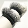 Callas Lashes For Extensions, 0.10mm D Curl, Individual Eyelashes Extension-17mm